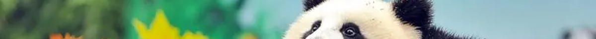 banner1