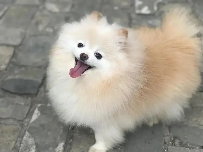 cm